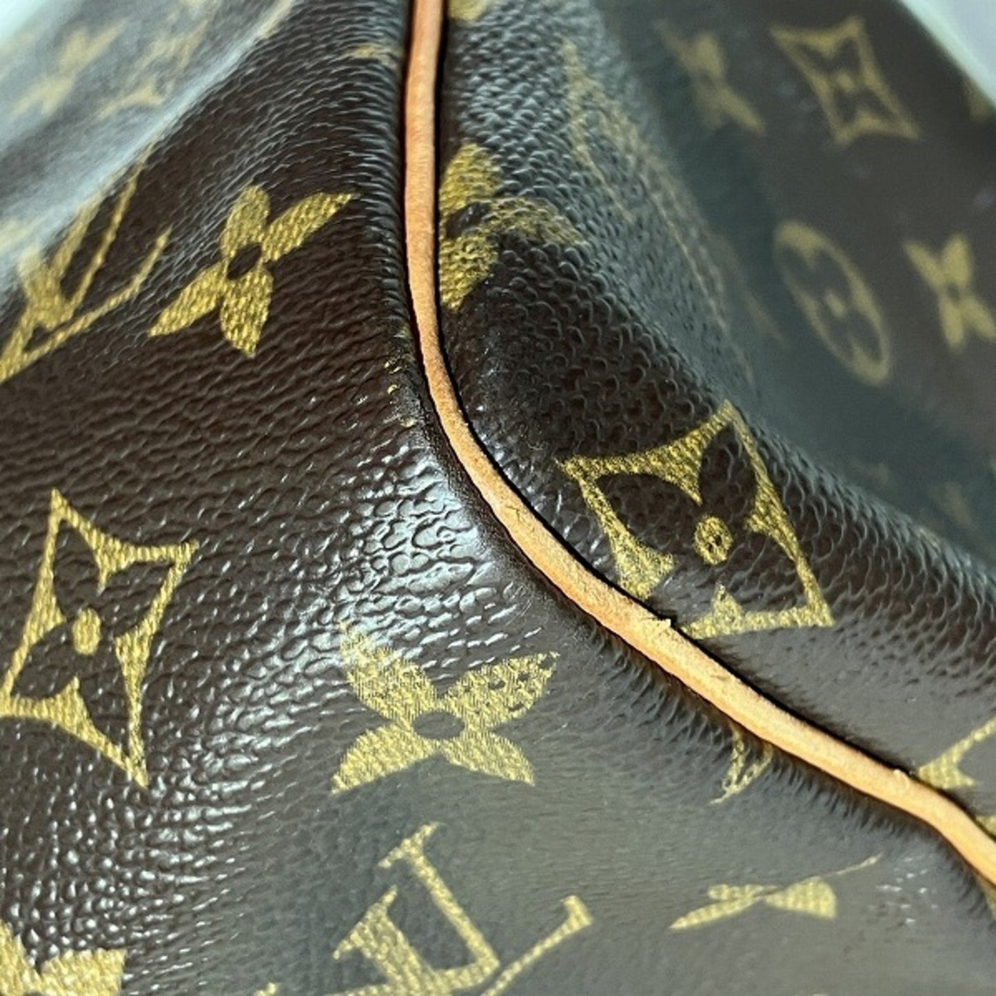 Louis Vuitton Handbag