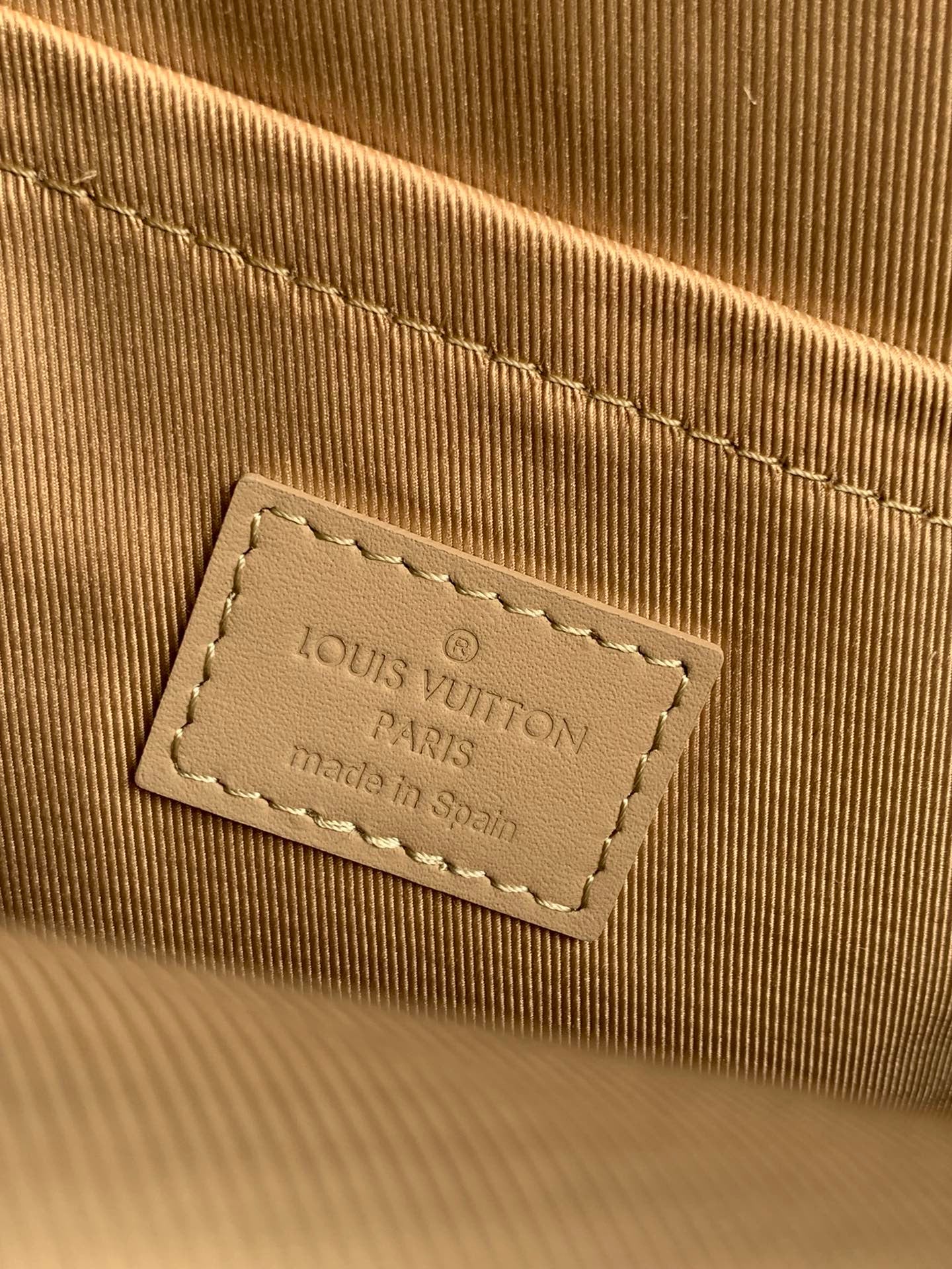 Louis Vuitton Pilot Sling Bag