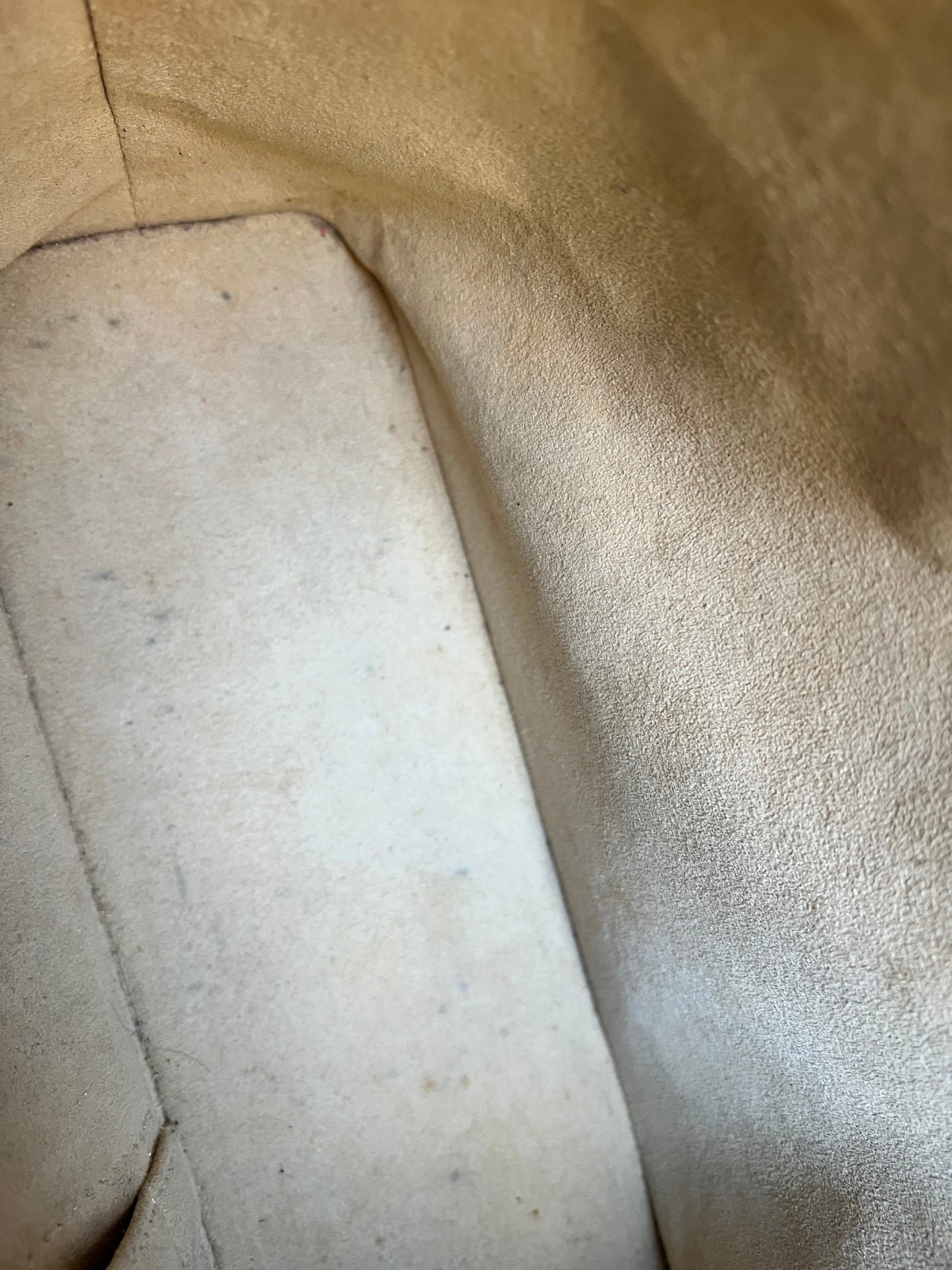 Louis Vuitton Luca Tote Monogram