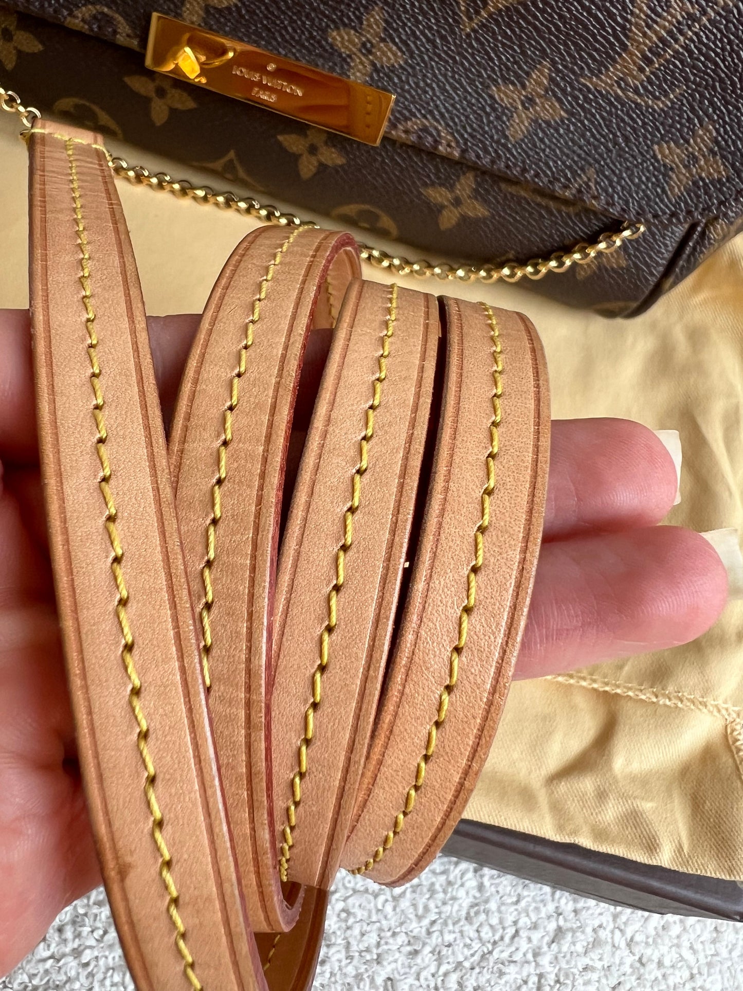 Louis Vuitton Favorite MM Monogram