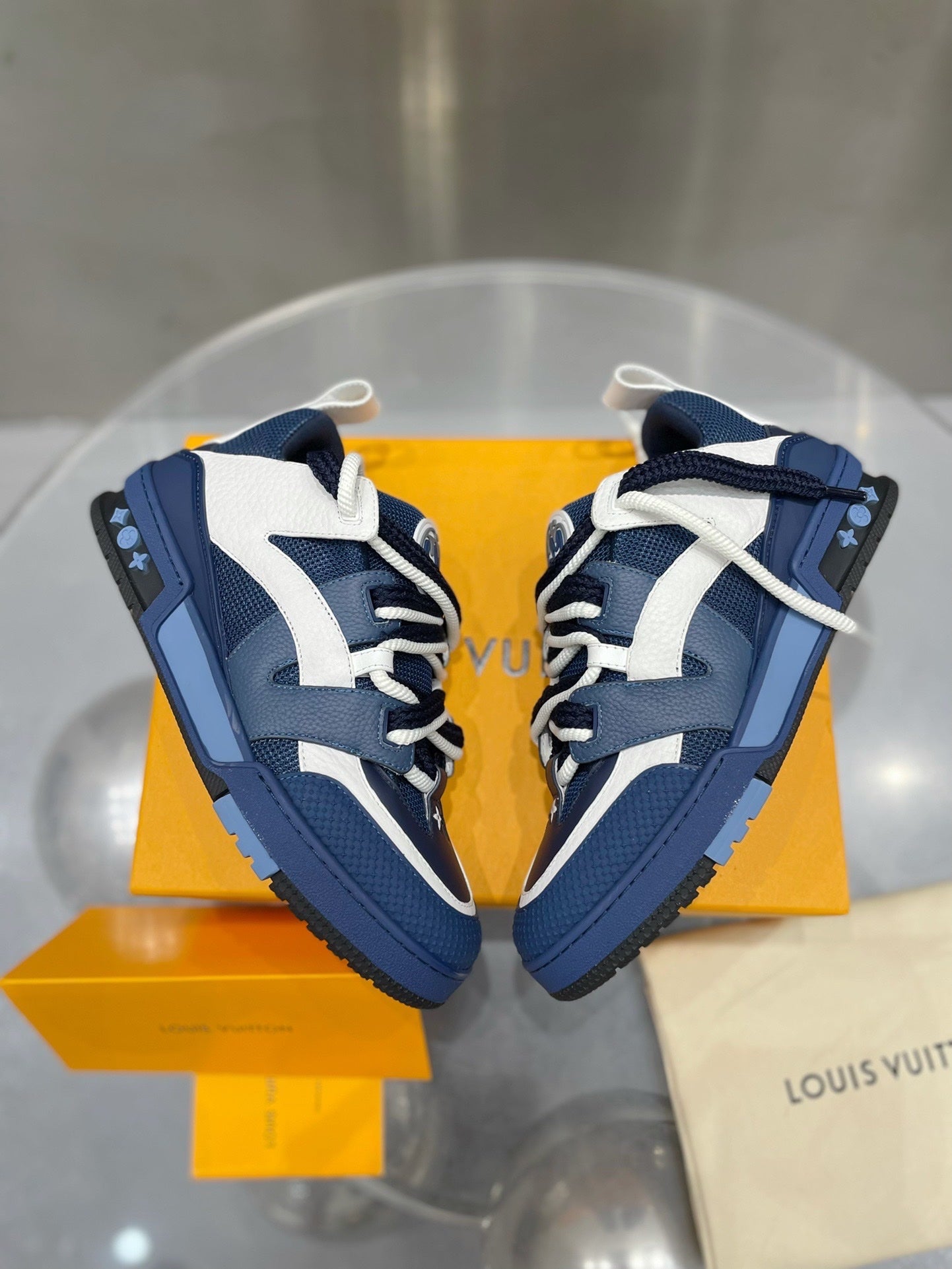Louis Vuitton Skate Sneakers