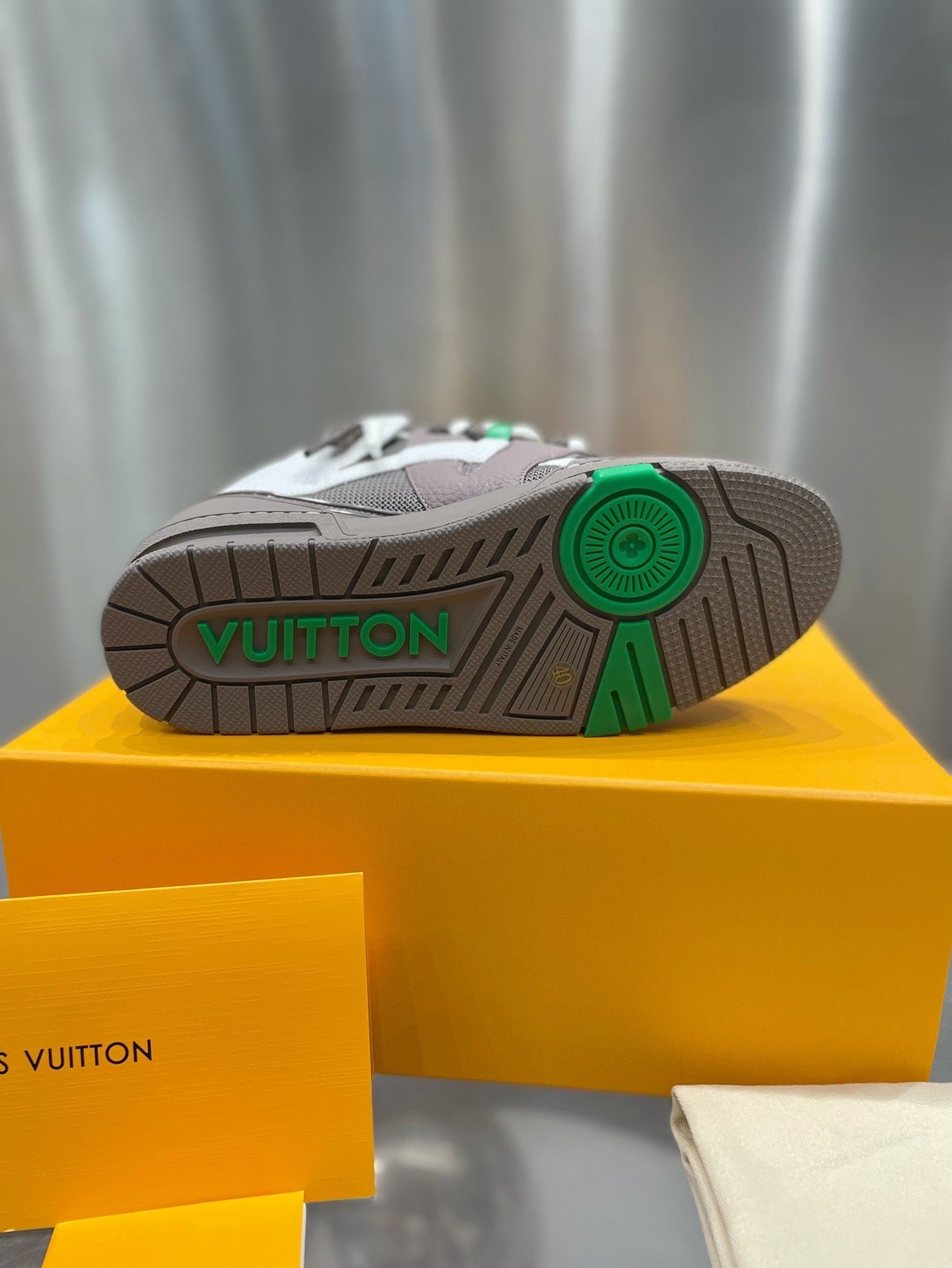 Louis Vuitton Skate Sneakers