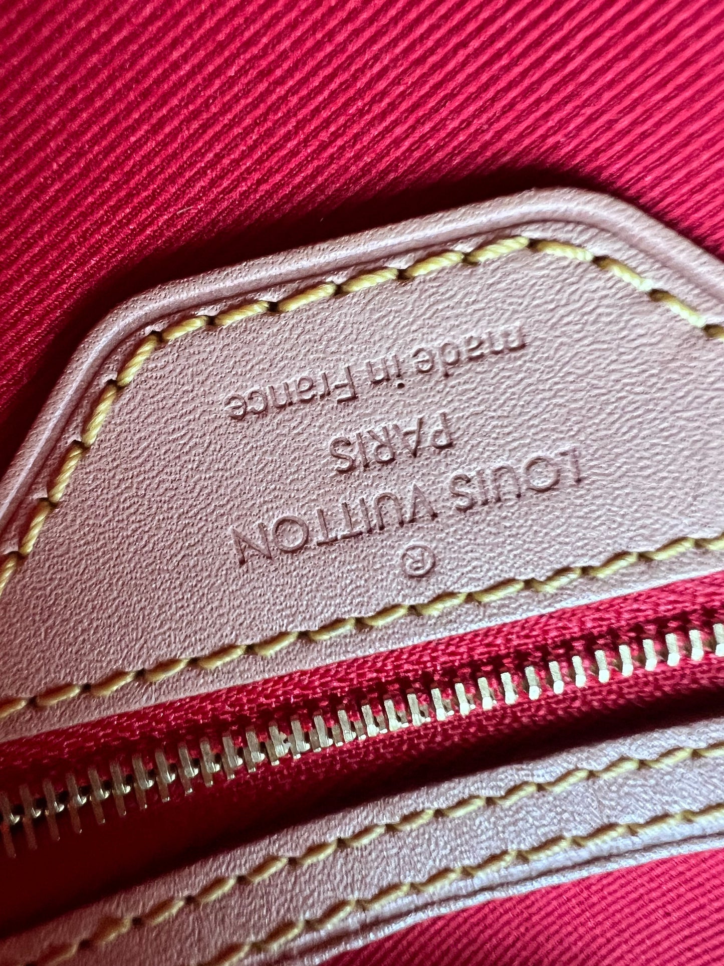 Louis Vuitton Carry It Tote