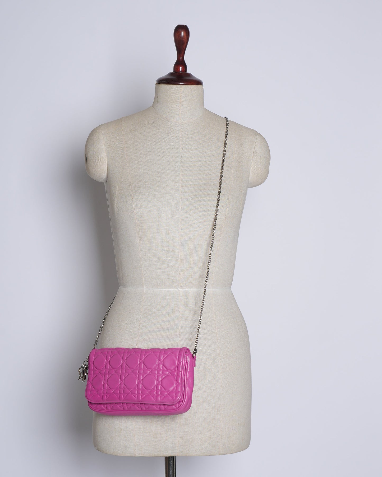 Dior Luxury Leather Crossbody Pink