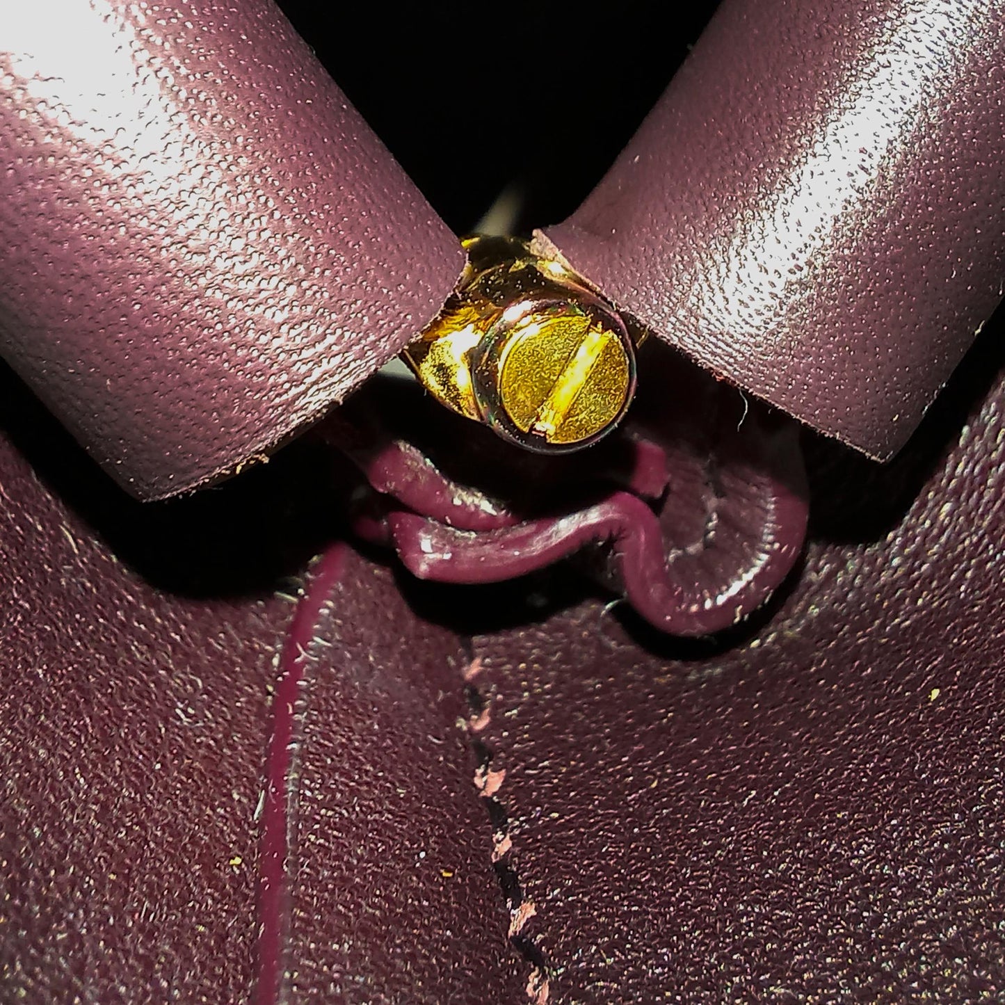 Bottega Veneta Point Leather Crossbody Bag (MLB-35749)