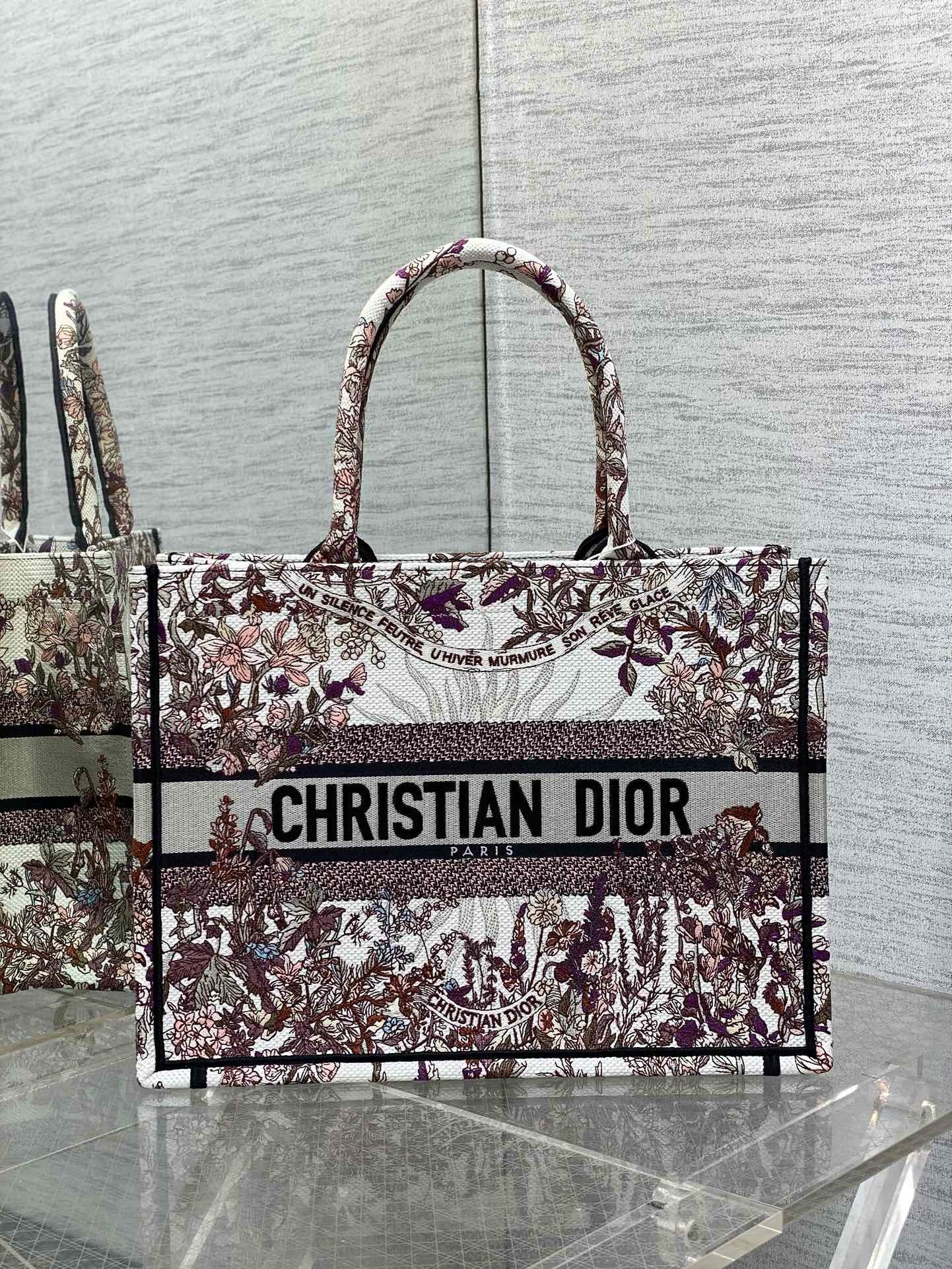 Dior Book Tote Tote Bag