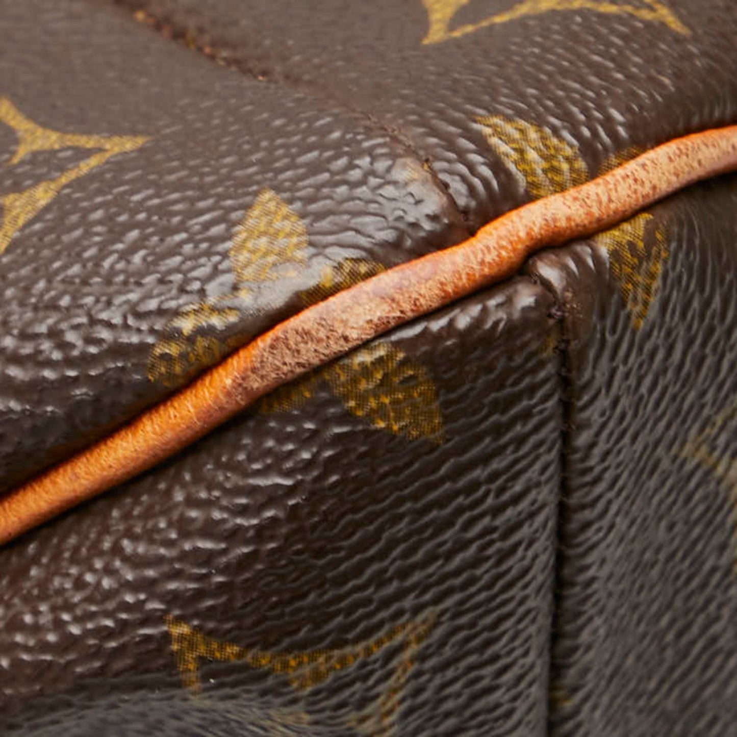 Louis Vuitton Monogram Pvc Leather Shoulder Bag