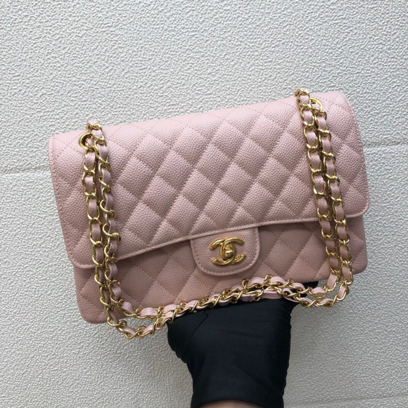 Chanel Luxury Handbag Style 171