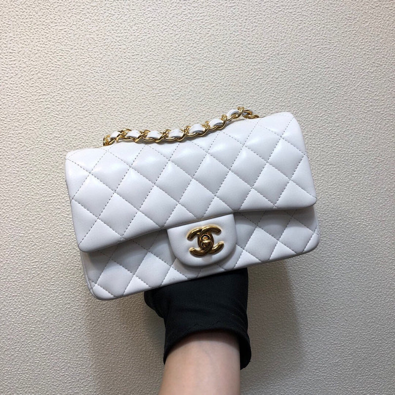 Chanel Luxury Handbag Style 172