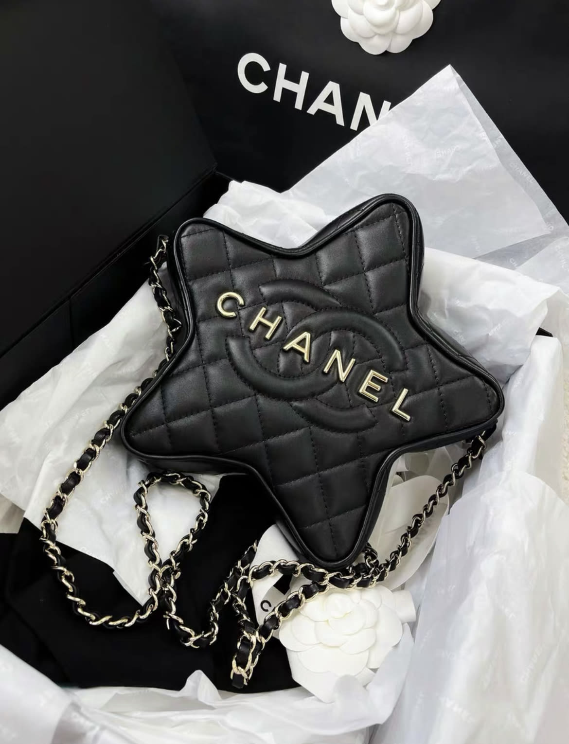 Chanel Luxury Lambskin Black Handbag Style 2