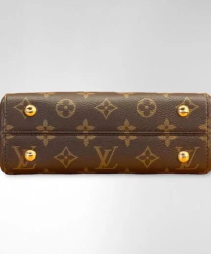 Louis Vuitton Cluny Mini Bag