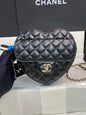 Chanel Luxury Handbag Style 194