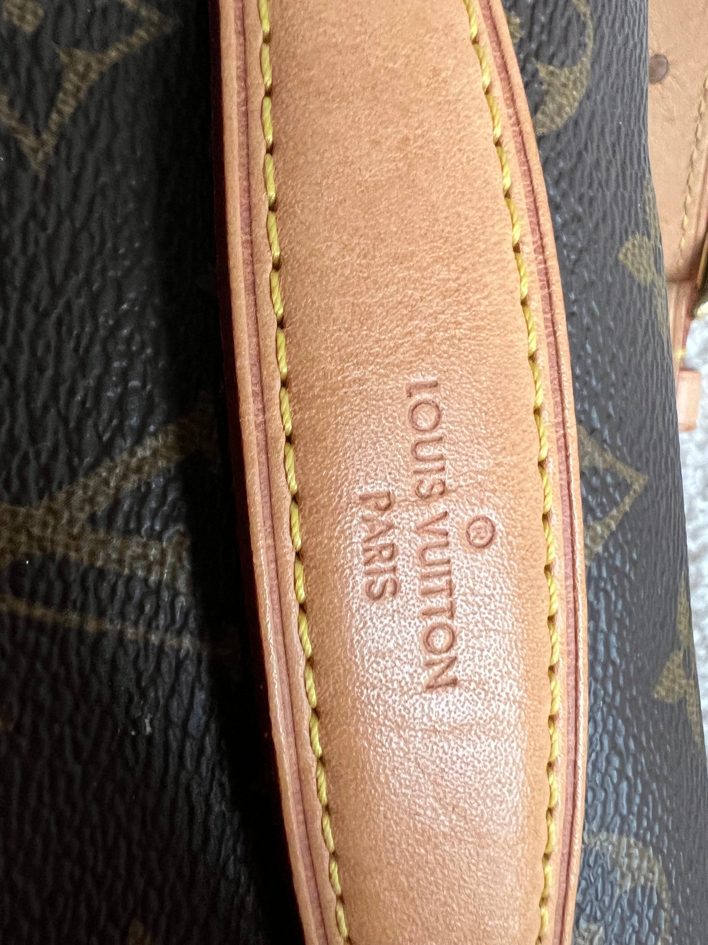 Louis Vuitton Bumbag in Monogram Canvas