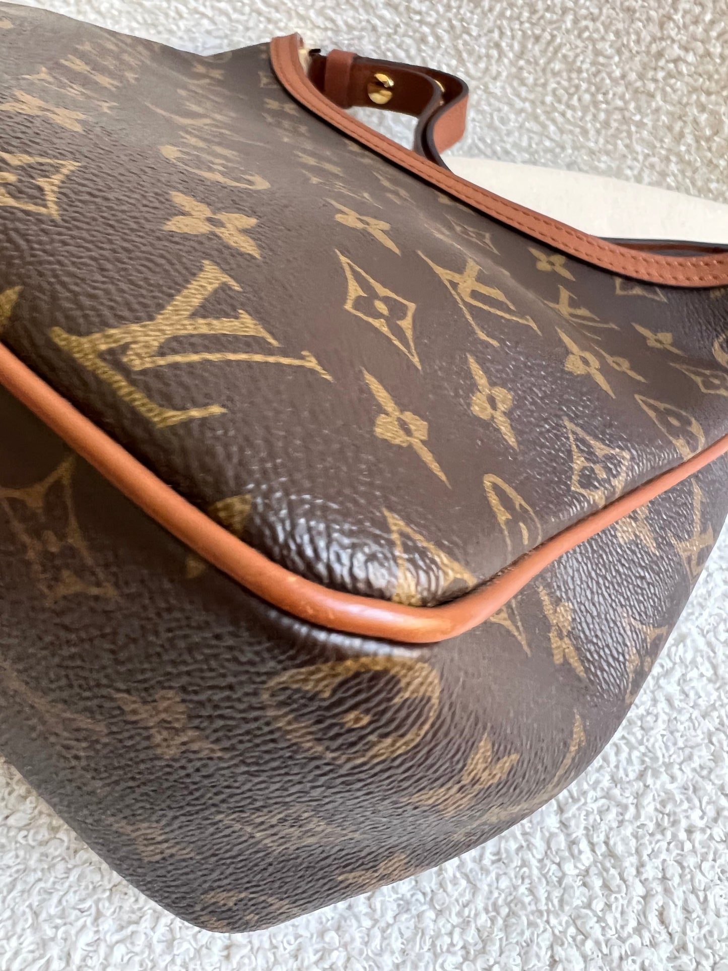 Louis Vuitton Dauphine Hobo PM (RRP £2190)