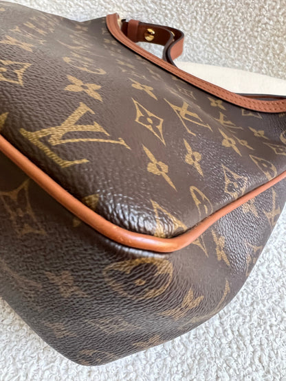 Louis Vuitton Dauphine Hobo PM (RRP £2190)