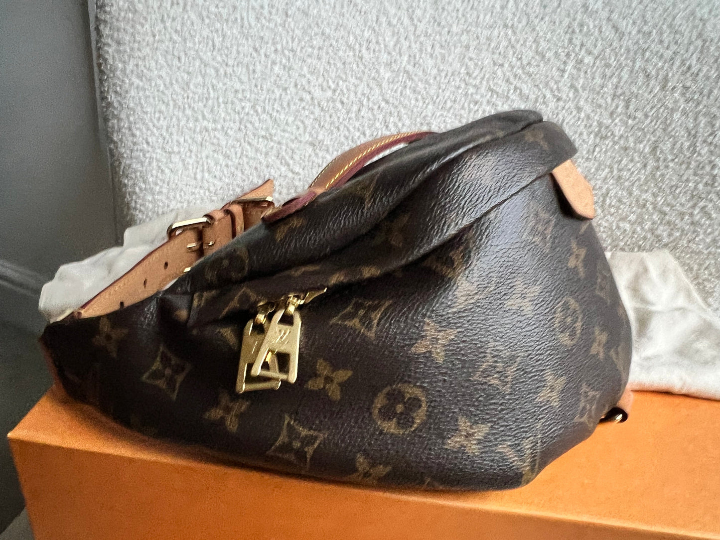 Louis Vuitton Bumbag in Monogram Canvas