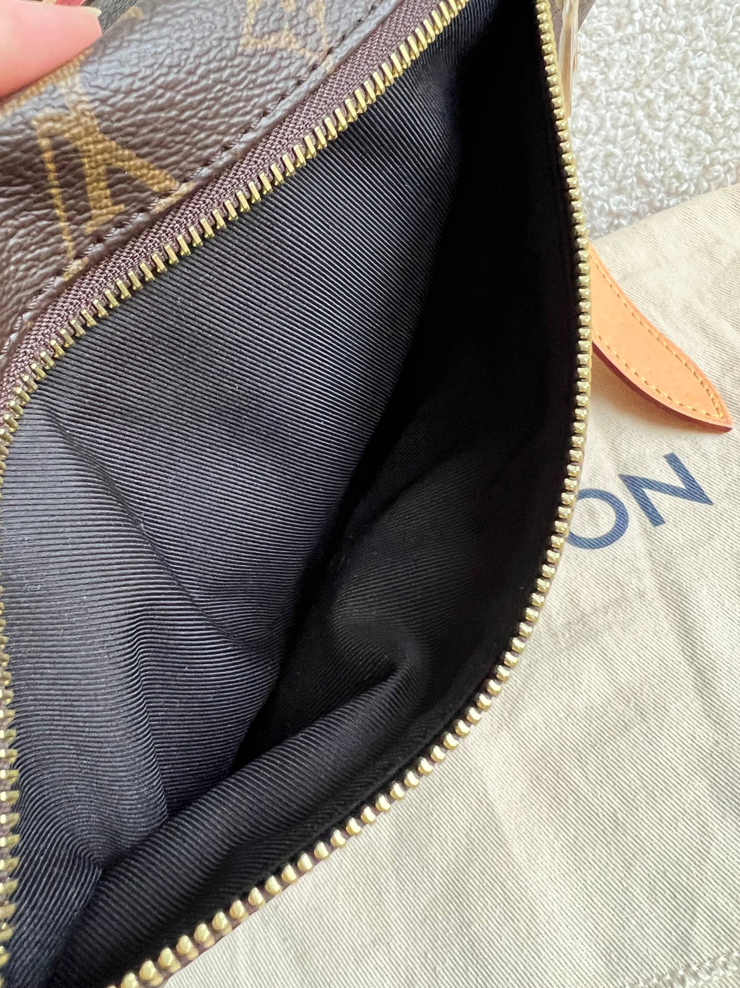 Louis Vuitton Bumbag in Monogram Canvas