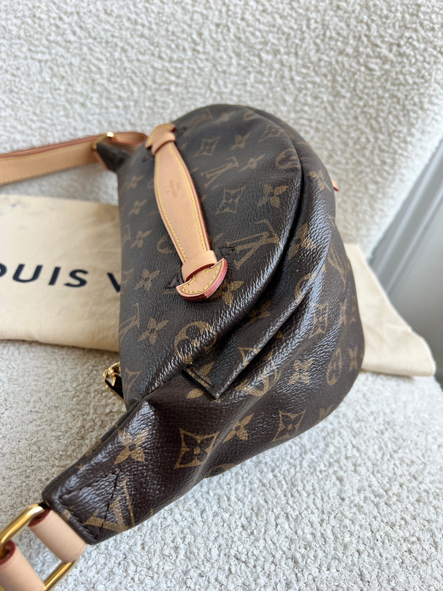 Louis Vuitton Bumbag in Monogram Canvas
