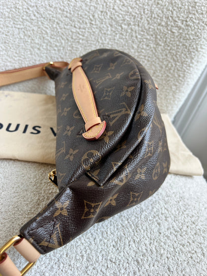 Louis Vuitton Bumbag in Monogram Canvas
