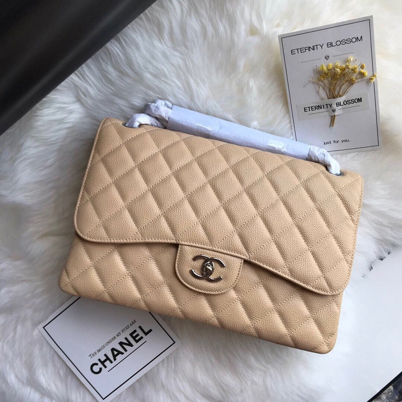 Chanel Luxury Handbag Style 163