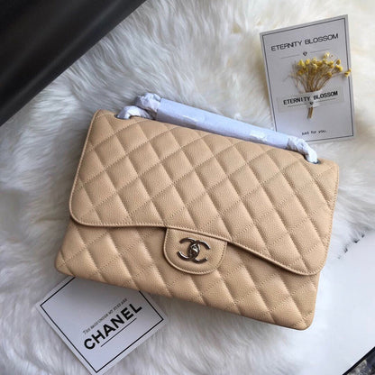 Chanel Luxury Handbag Style 163
