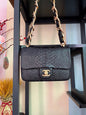 Chanel Luxury Handbag Style 435