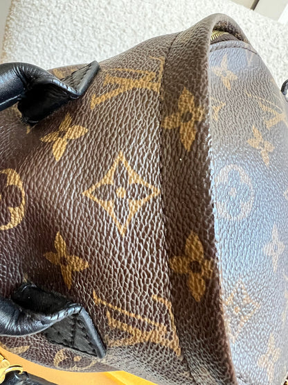 Louis Vuitton Palm Springs Mini Backpack (RRP £1,860)