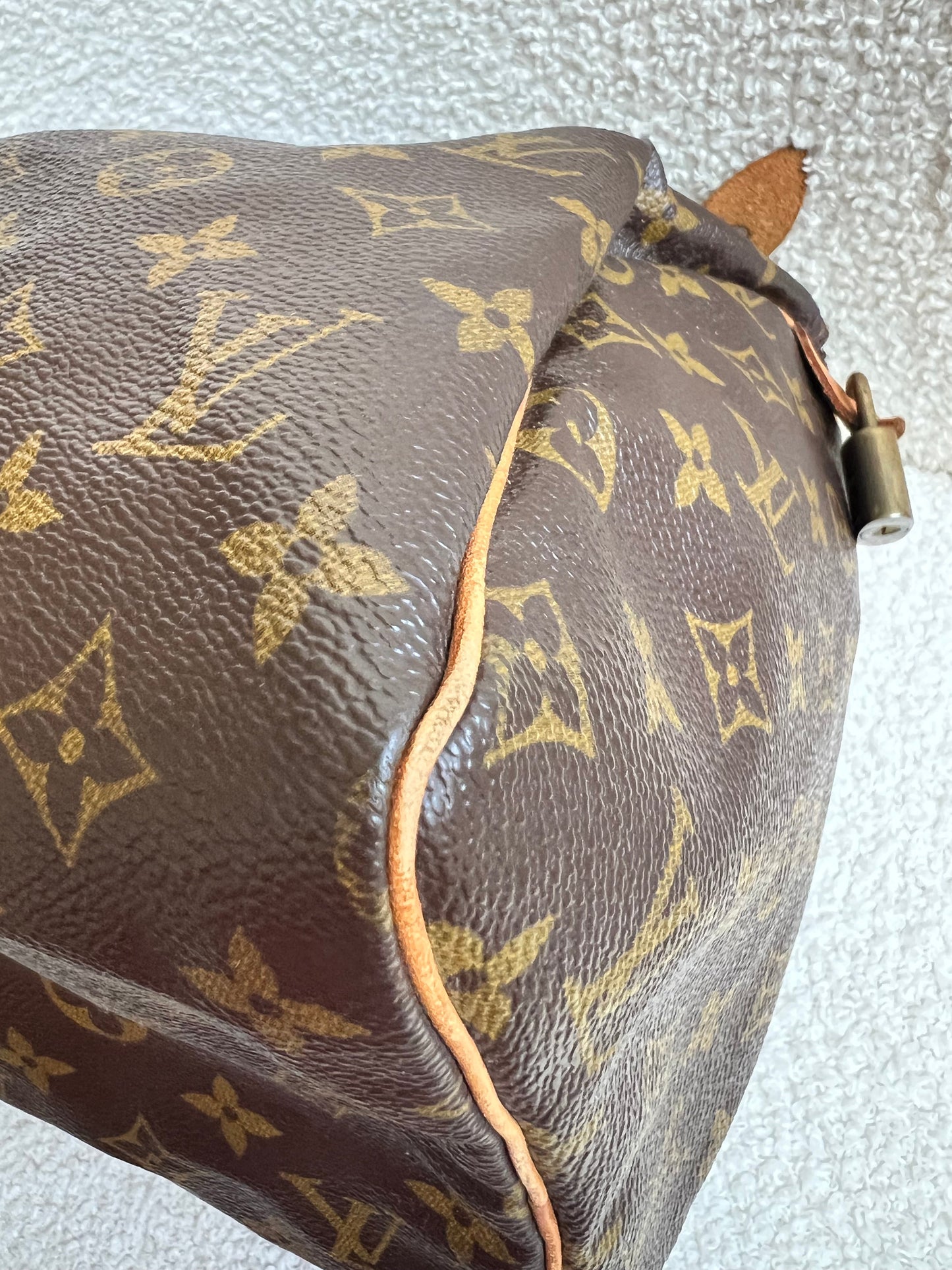 Louis Vuitton Speedy 30 Monogram