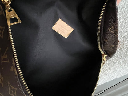 Louis Vuitton Bumbag in Monogram Canvas