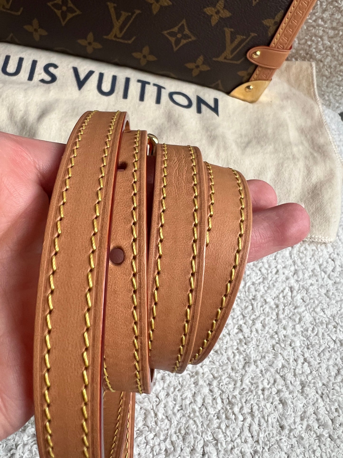 Louis Vuitton Side Trunk MM