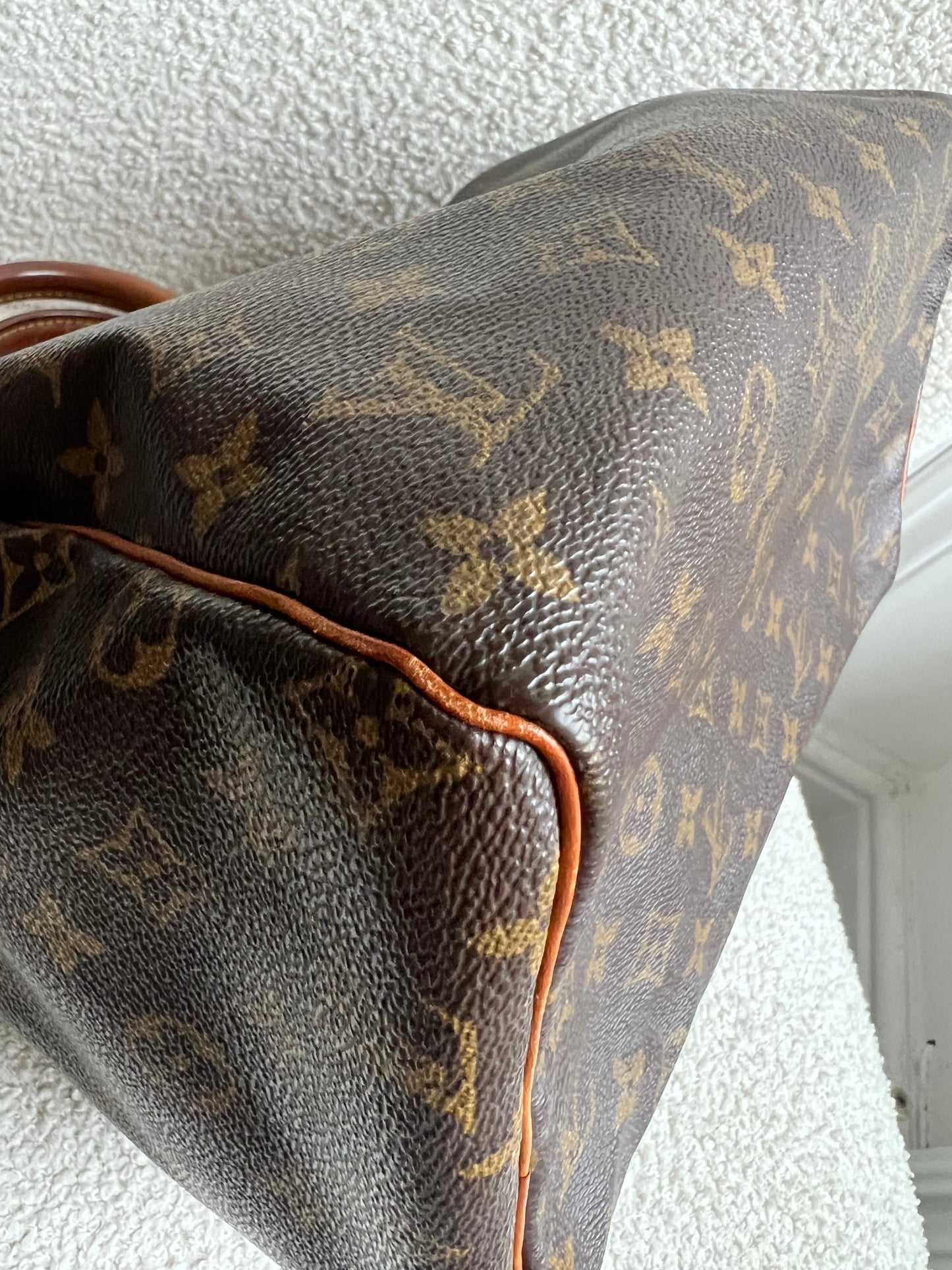 Louis Vuitton Speedy 30 Monogram