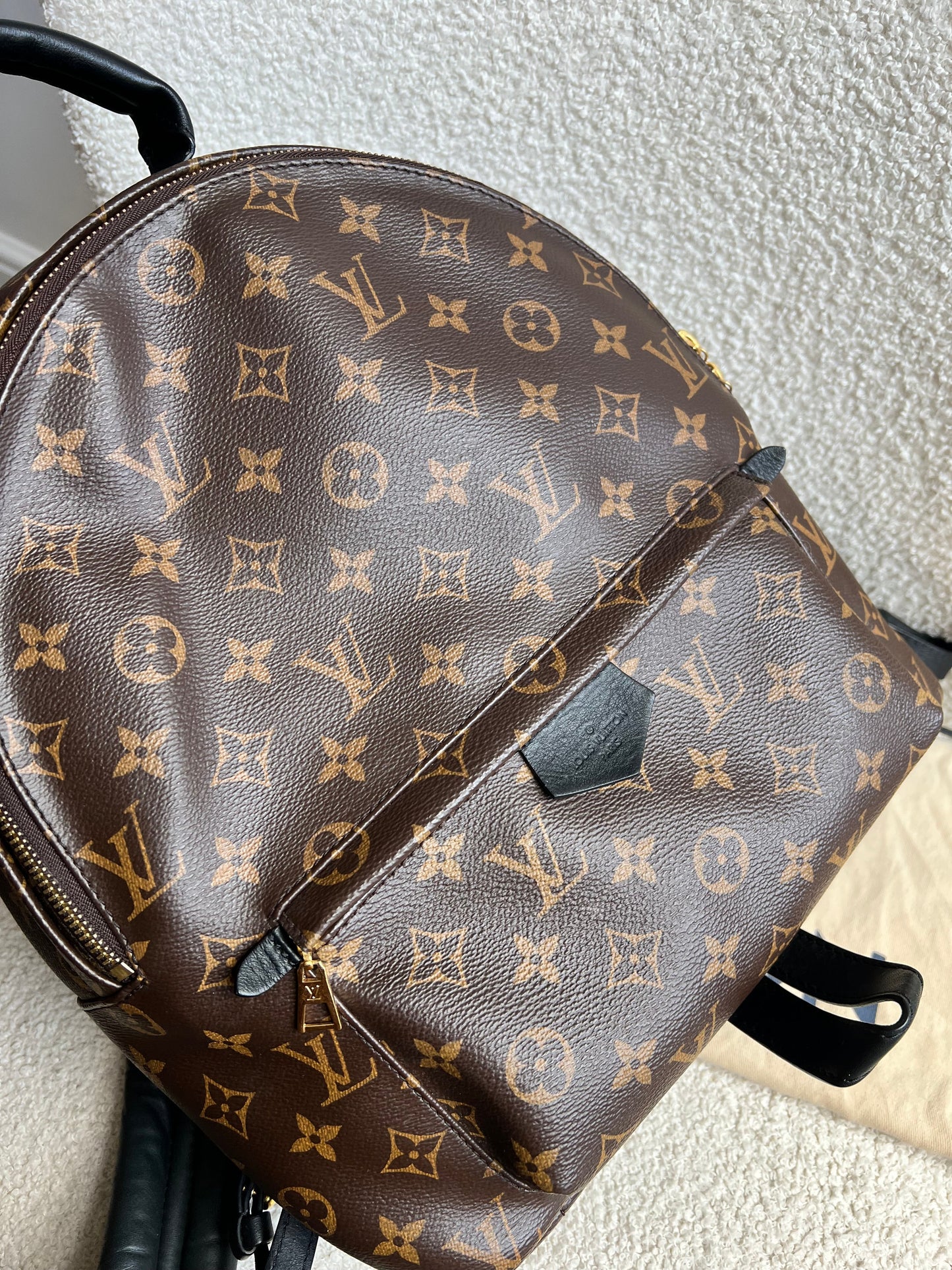 Louis Vuitton Palm Springs MM Backpack (RRP £2,090)