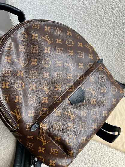 Louis Vuitton Palm Springs MM Backpack (RRP £2,090)