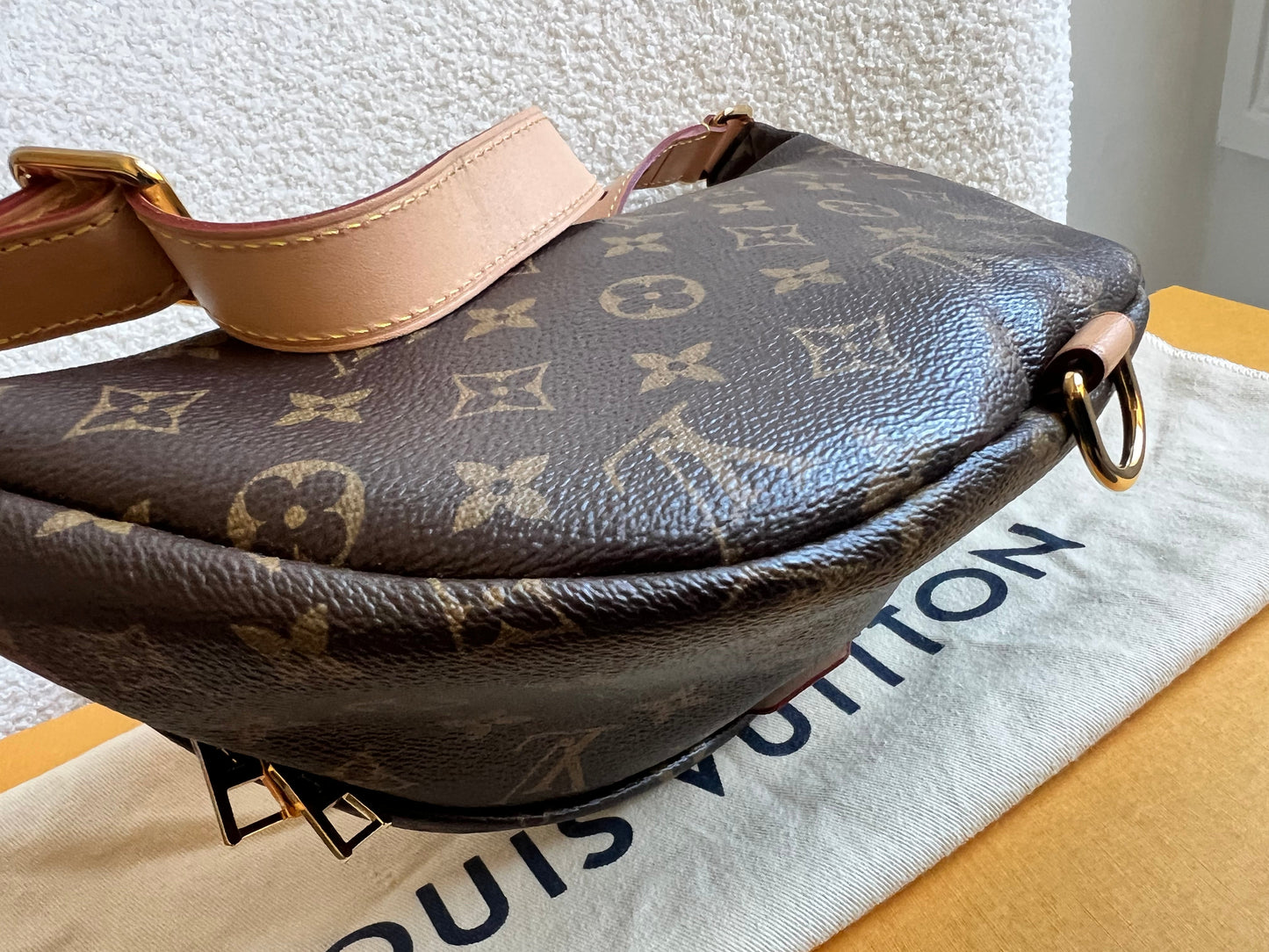 Louis Vuitton Bumbag in Monogram Canvas
