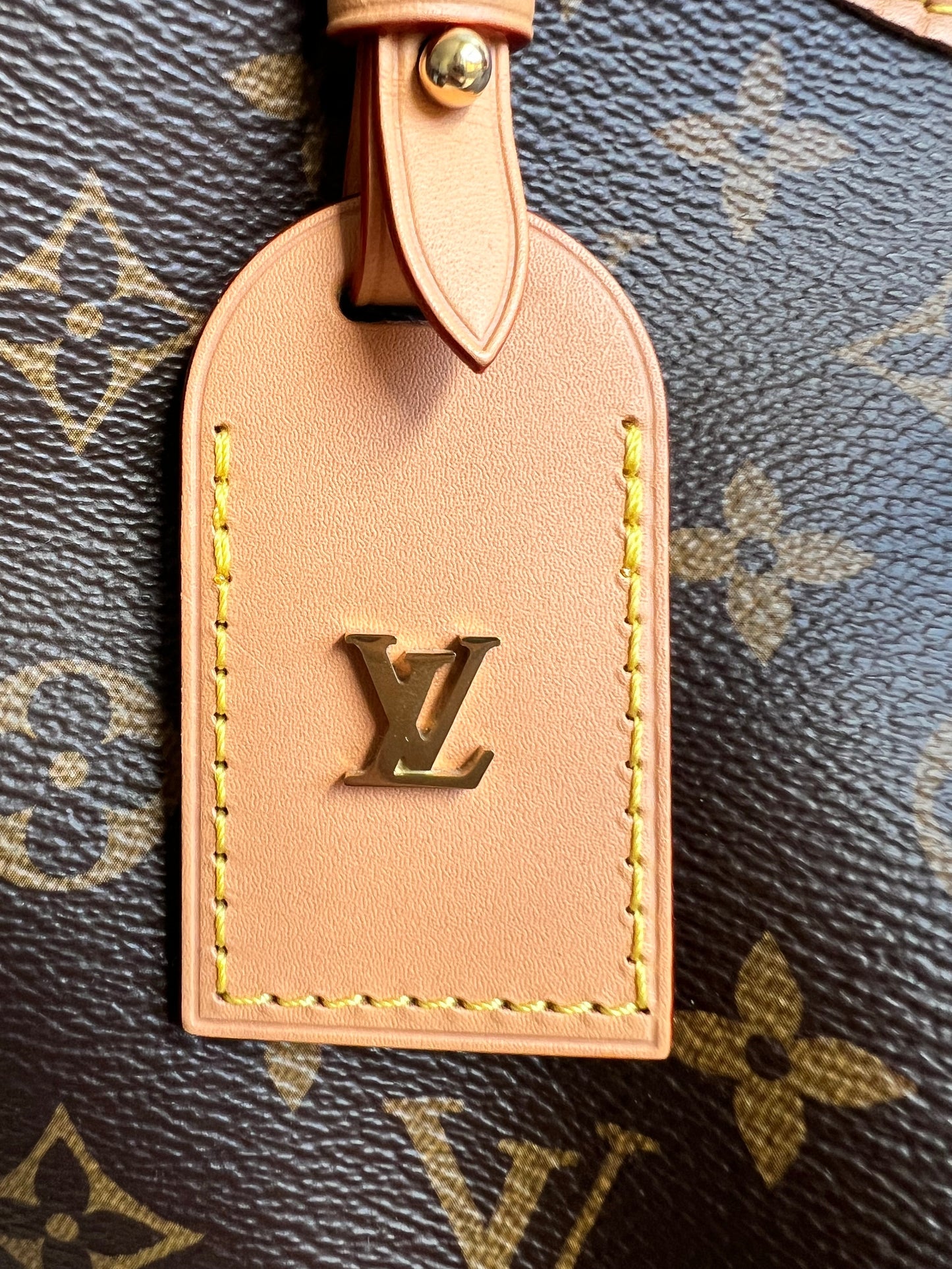 Louis Vuitton Carryall PM Monogram Canvas (RRP £2240)