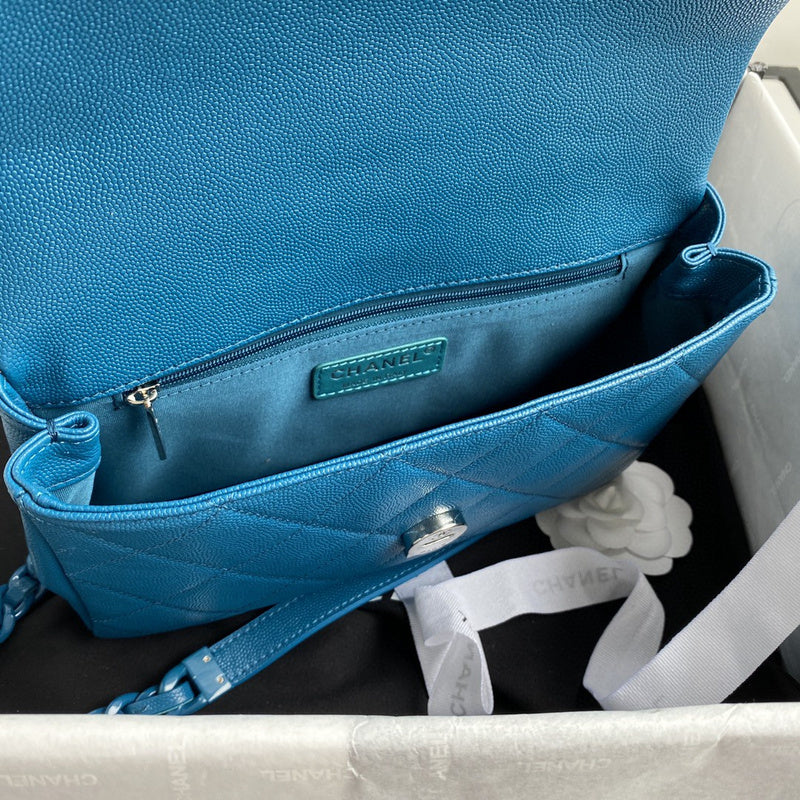 Chanel Luxury Handbag Style 503
