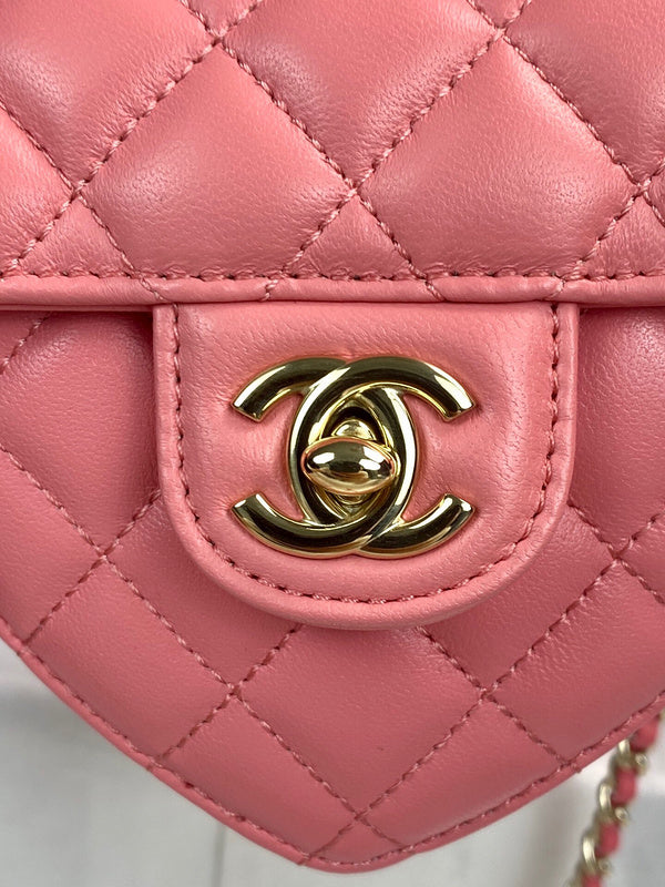 Chanel Luxury Handbag Style 224