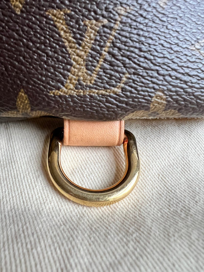 Louis Vuitton Bumbag in Monogram Canvas