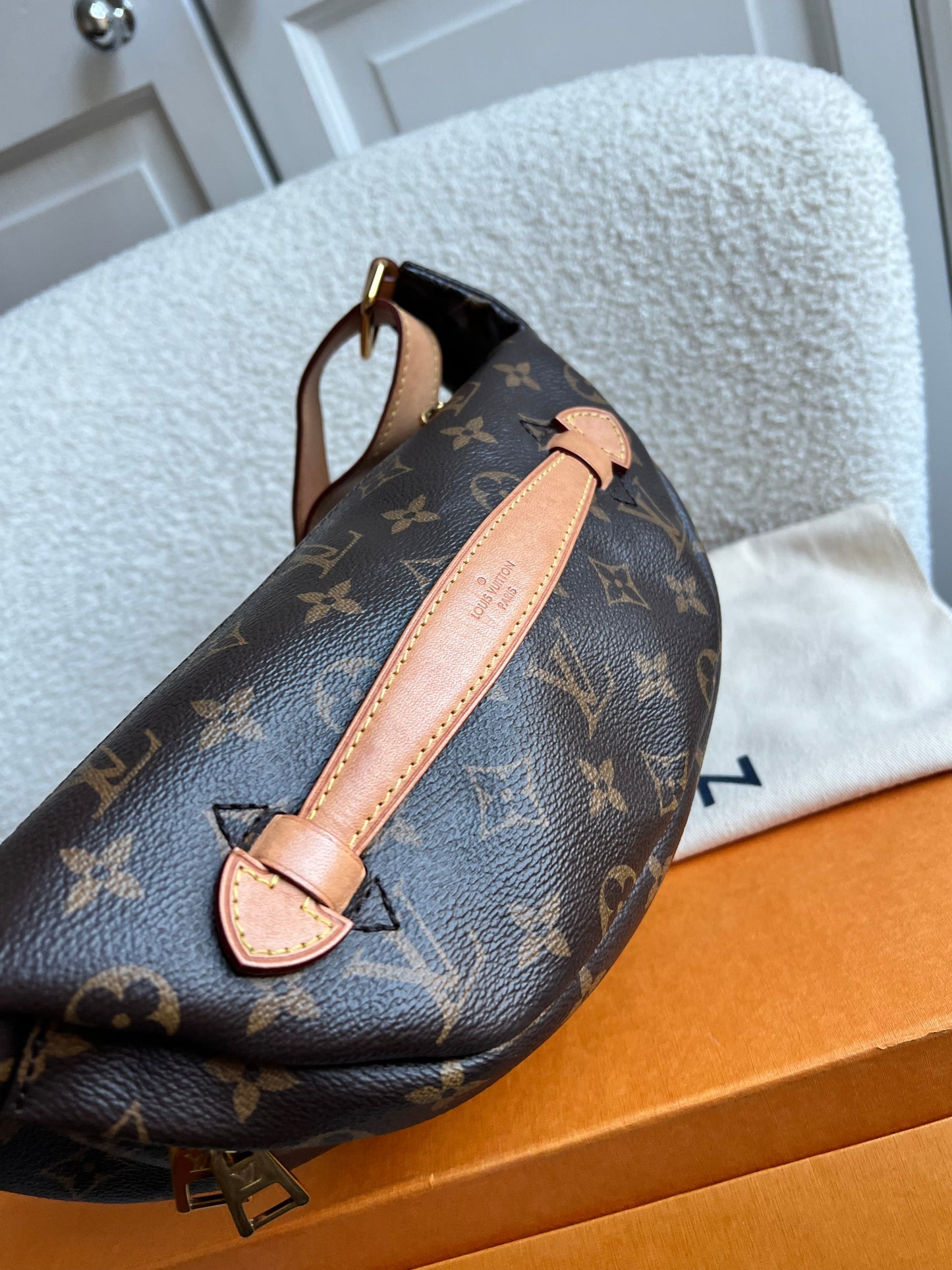 Louis Vuitton Bumbag in Monogram Canvas