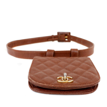 Chanel Caviar Brown Luxury Handbag Style 2