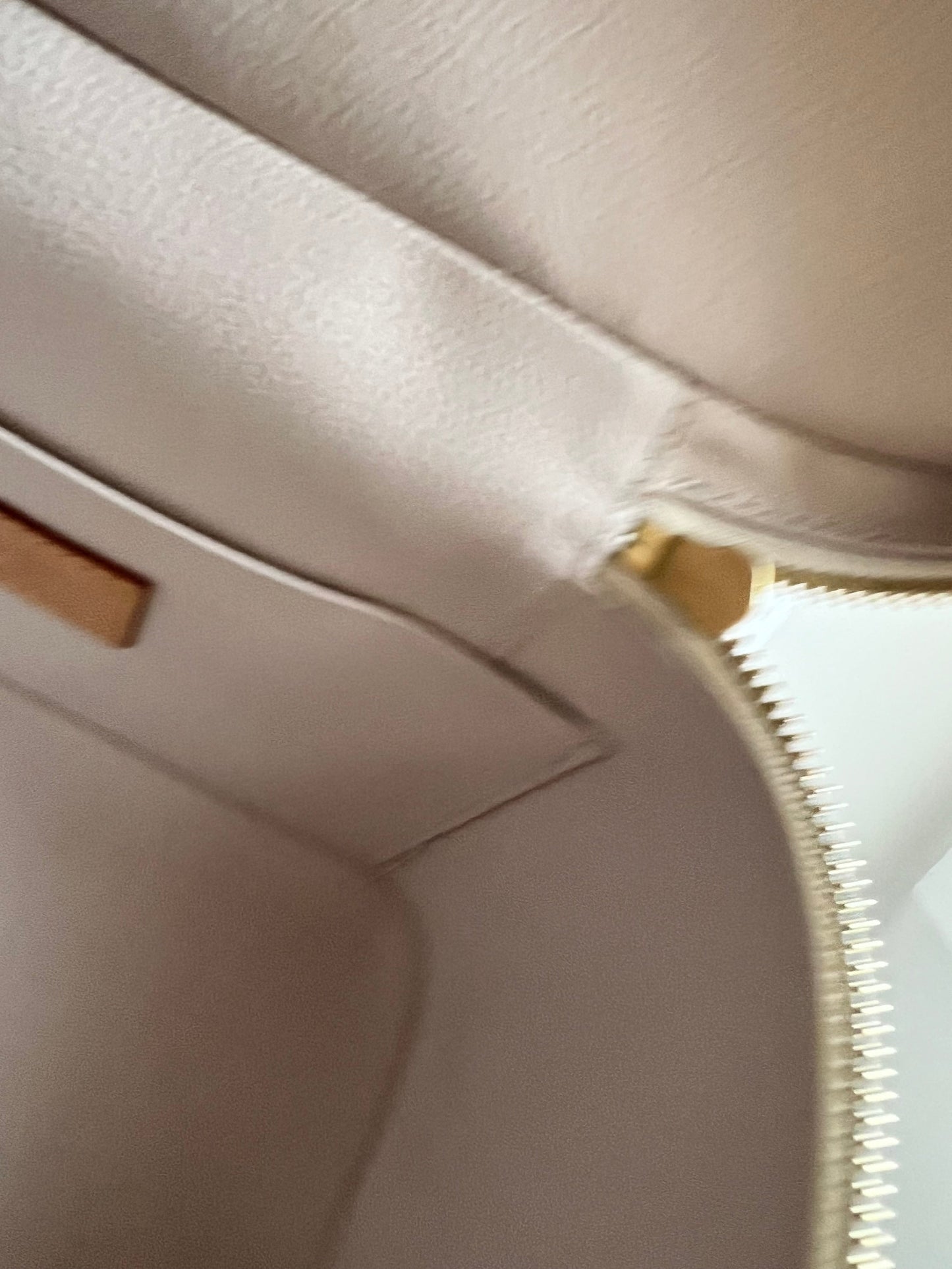 Louis Vuitton By the Pool Nice BB Bag Vanity Case