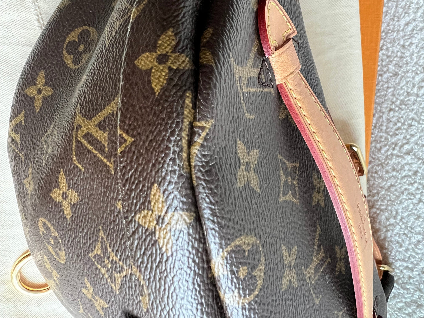 Louis Vuitton Bumbag in Monogram Canvas
