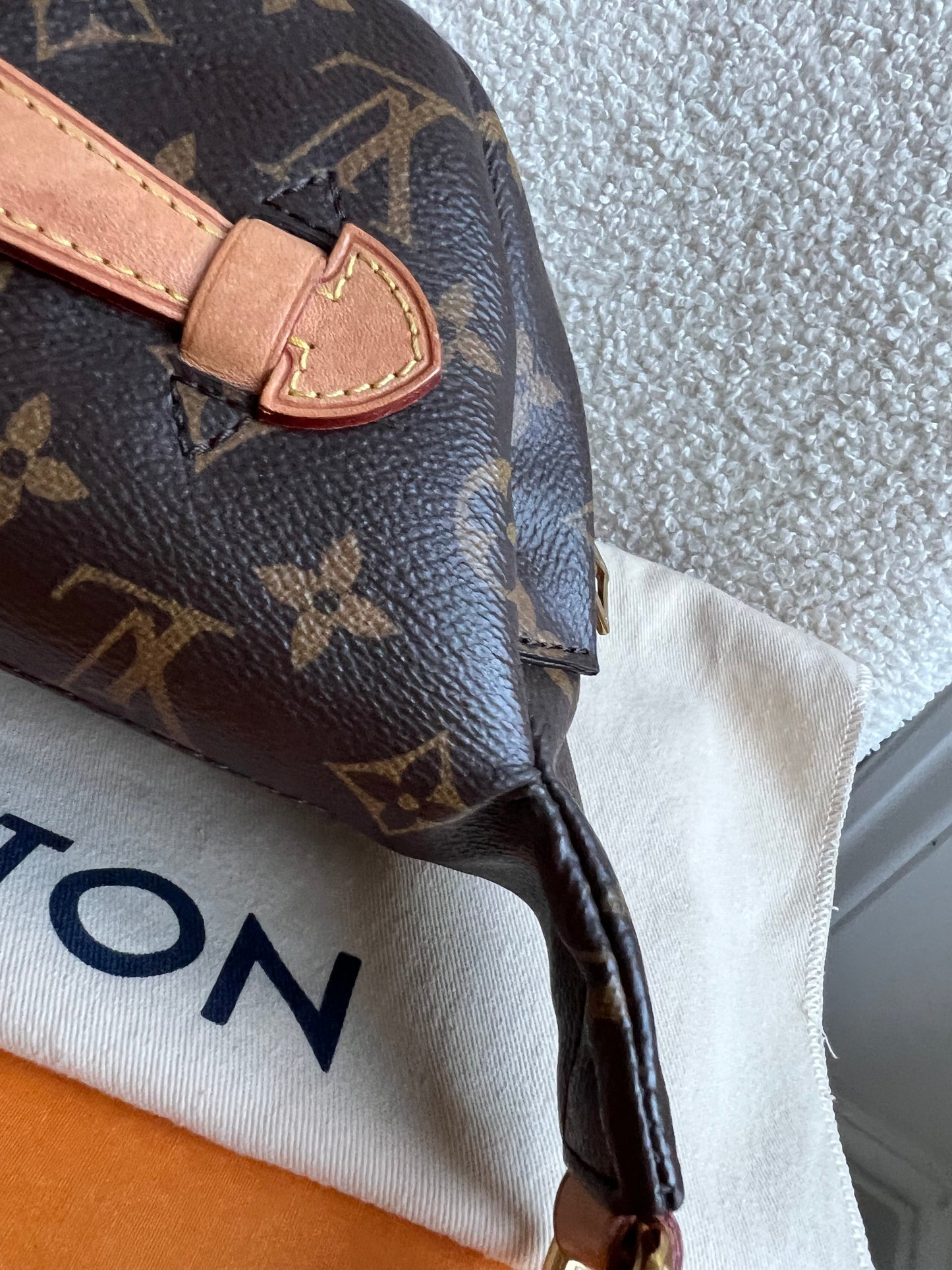 Louis Vuitton Bumbag in Monogram Canvas
