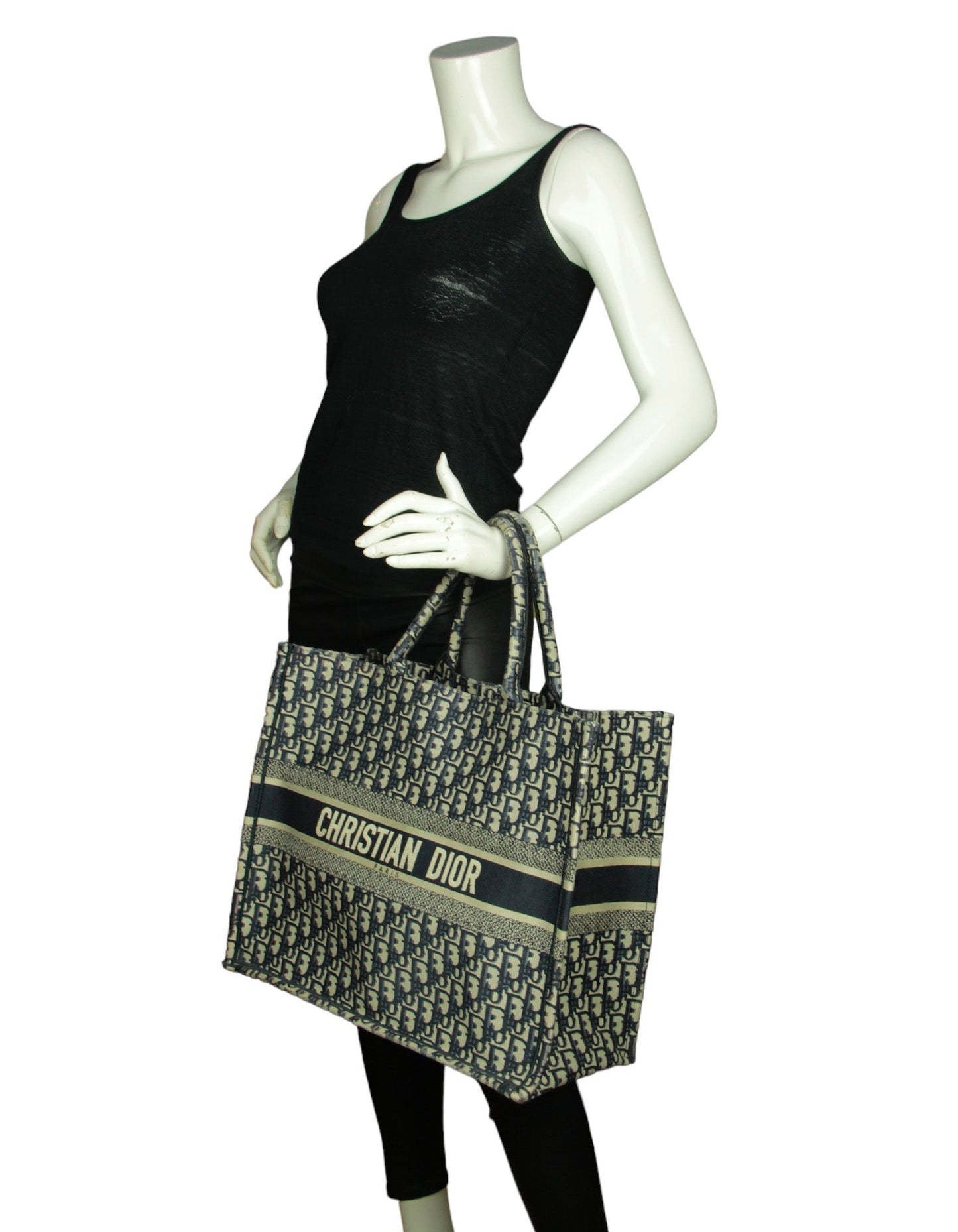 Dior Book Tote Oblique Blue Tote Bag Style 14