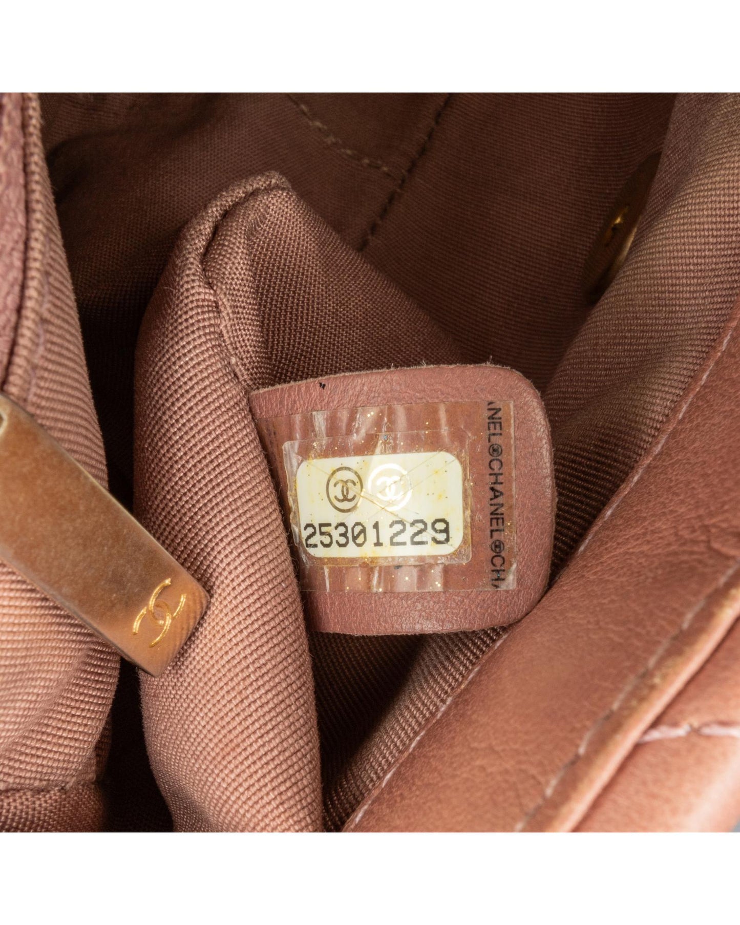 Chanel 19 Mini Crossbody Bag in Pink