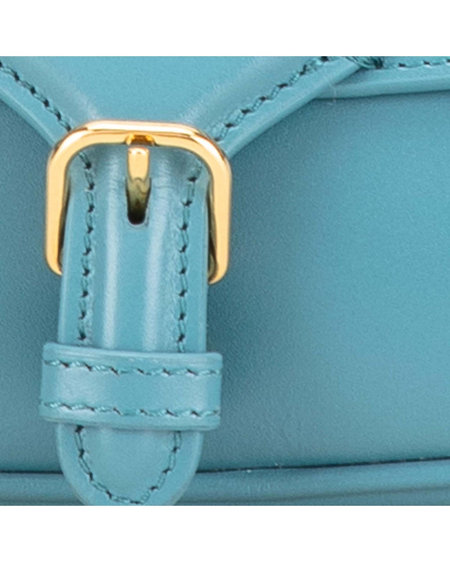 Calfskin East West Crossbody Bag with Adjustable Strap and Buckle Closure