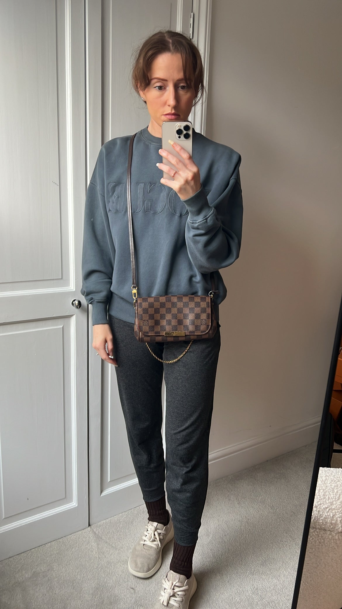 Louis Vuitton Favorite PM Damier Ebene