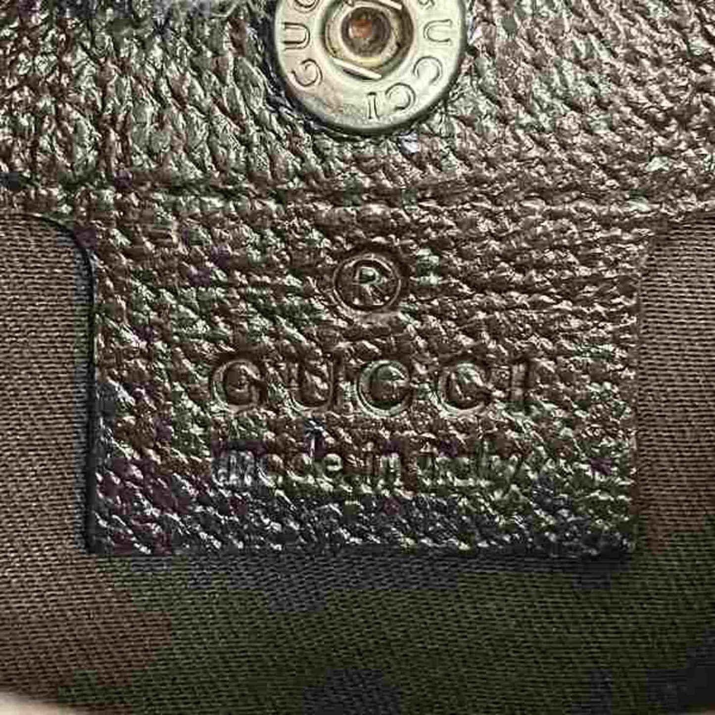 Ophidia Canvas Crossbody Bag