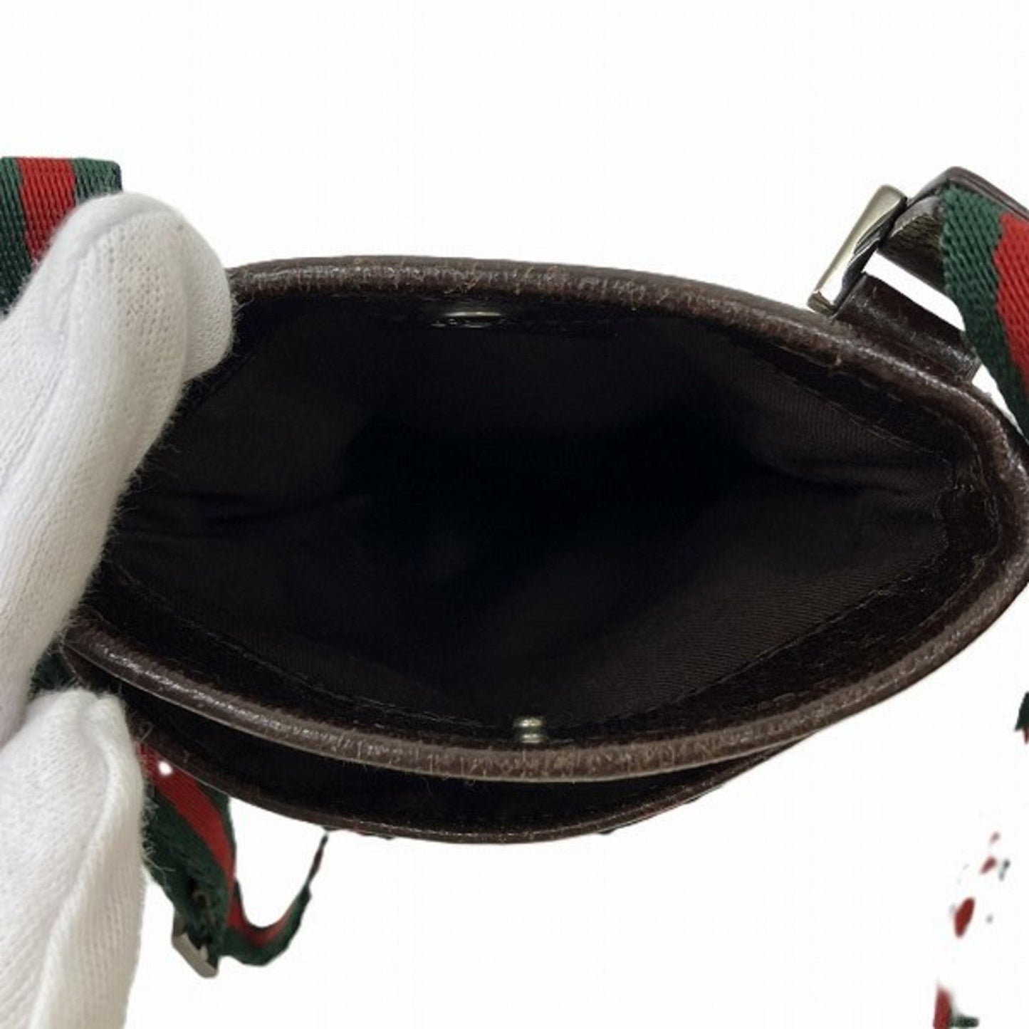 Ophidia Canvas Crossbody Bag