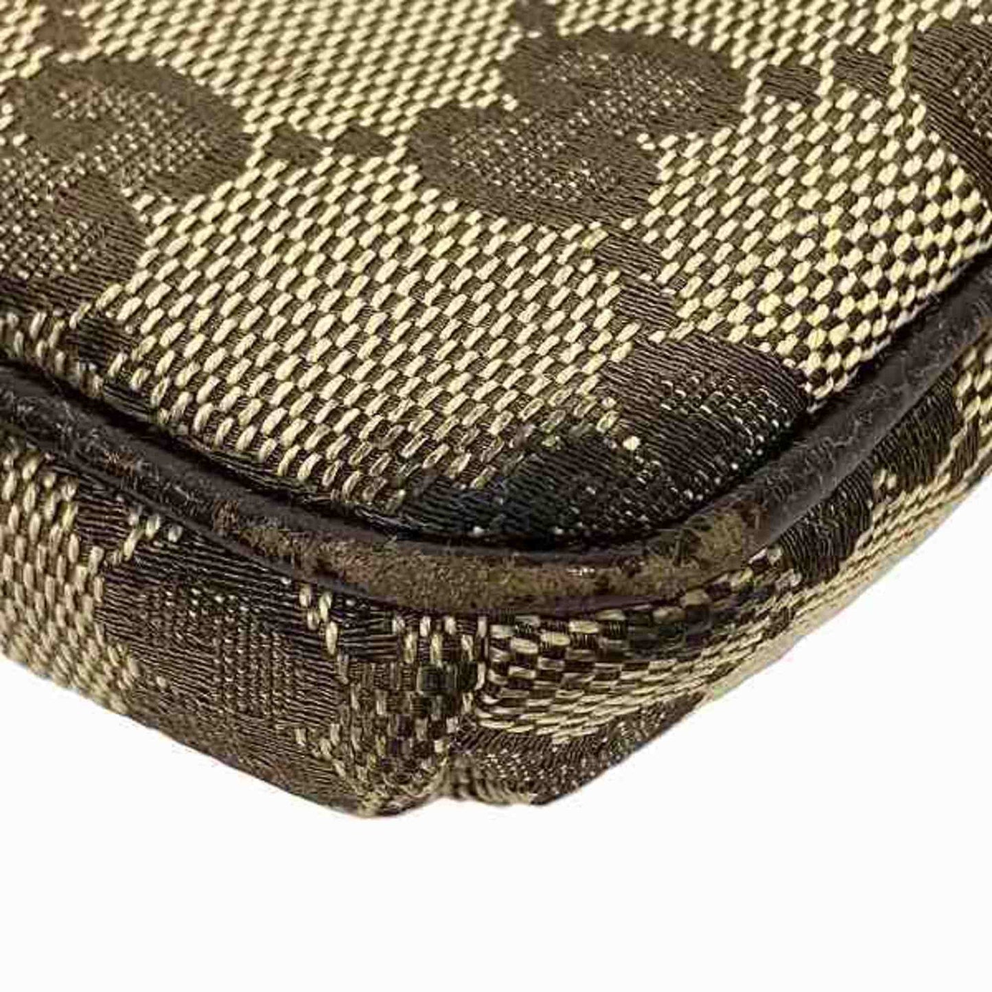 Ophidia Canvas Crossbody Bag